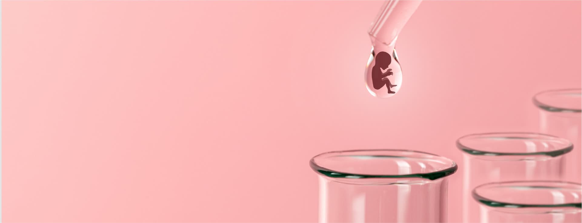 Difference between a test-tube baby and IVF