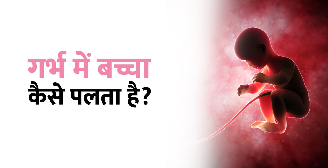 Baccha Kaise Hota Hai &#8211; गर्भ में बच्चा कैसे बनता है?