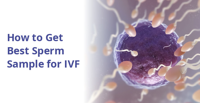 How to Get the Best Sperm Sample for IVF
