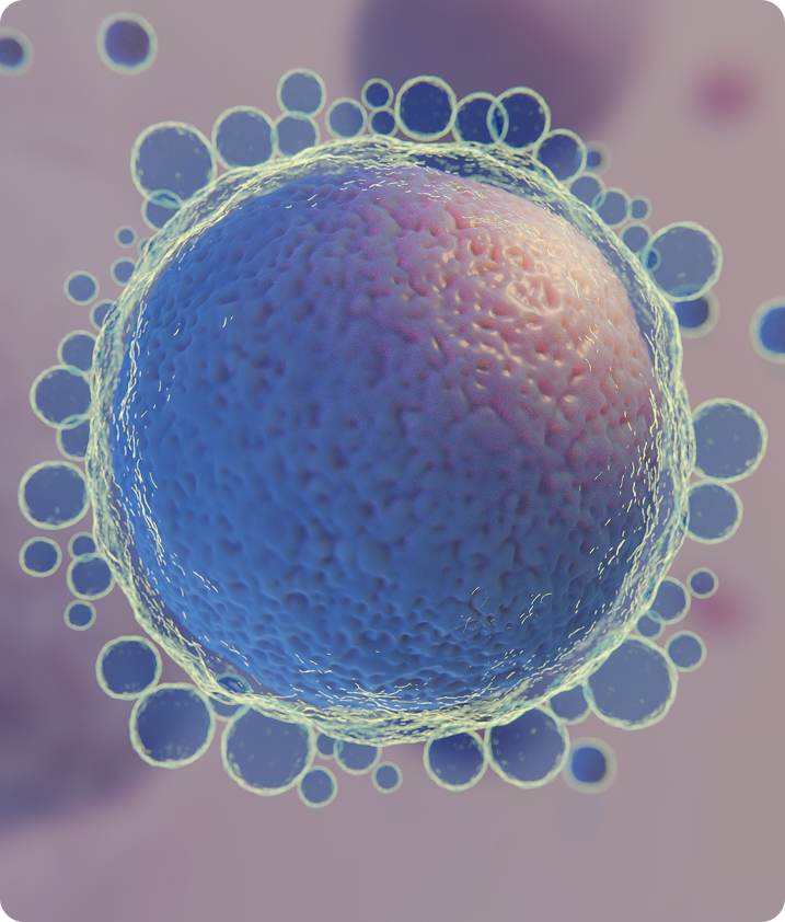 IVF Success Rates by Age