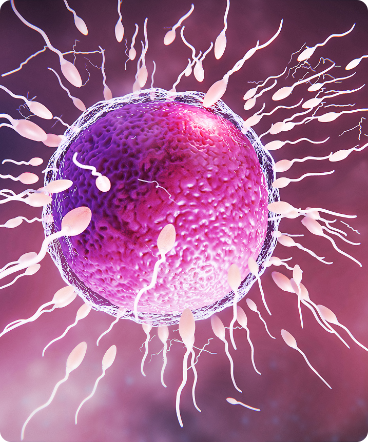 Tips to Improve IVF Success Rates the First Time